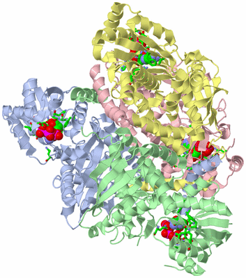 Image Asym./Biol. Unit - sites