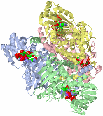 Image Asym./Biol. Unit