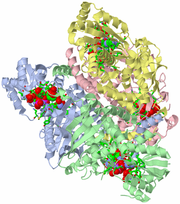 Image Asym./Biol. Unit - sites