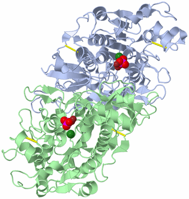 Image Asym./Biol. Unit