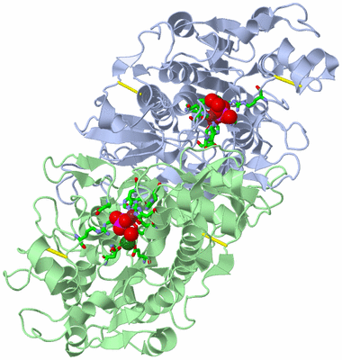 Image Asym./Biol. Unit - sites