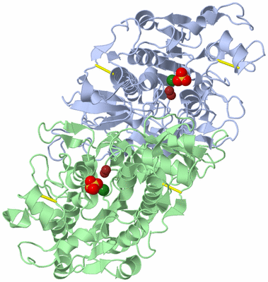 Image Asym./Biol. Unit