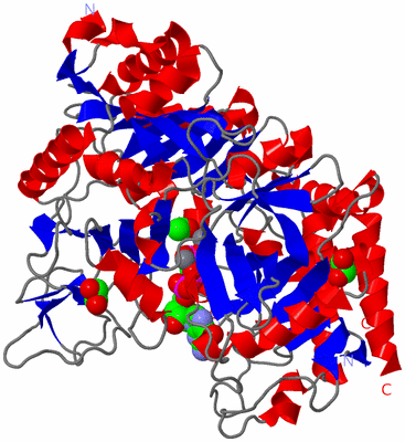 Image Asym./Biol. Unit