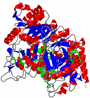 Image Asym./Biol. Unit - sites