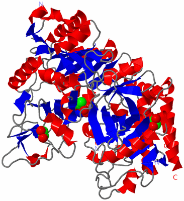 Image Asym./Biol. Unit