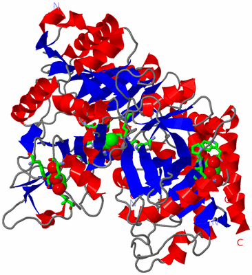 Image Asym./Biol. Unit - sites