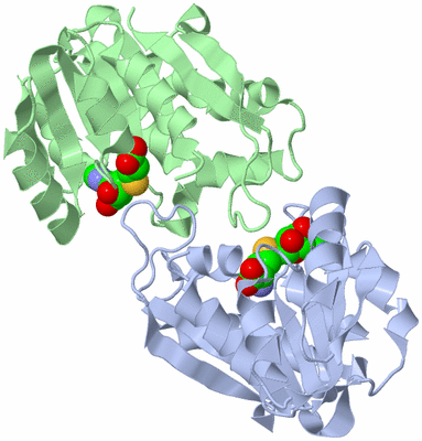 Image Asym./Biol. Unit