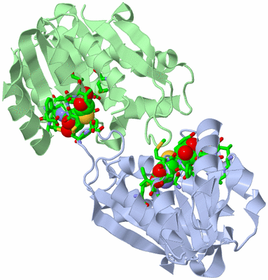 Image Asym./Biol. Unit - sites