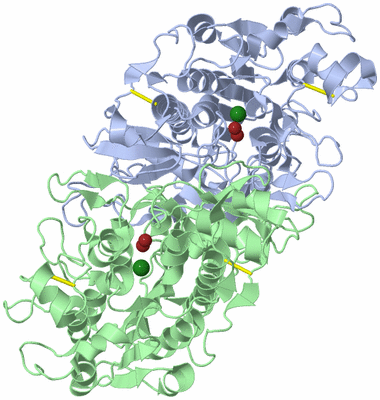 Image Asym./Biol. Unit