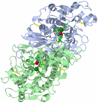 Image Asym./Biol. Unit - sites