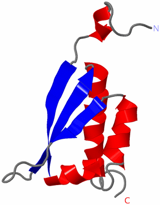 Image NMR Structure - model 1