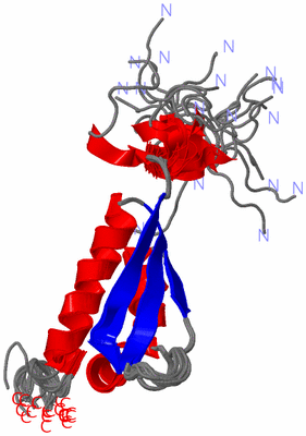 Image NMR Structure - all models