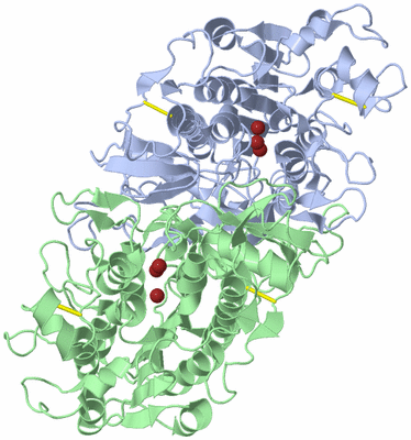 Image Asym./Biol. Unit