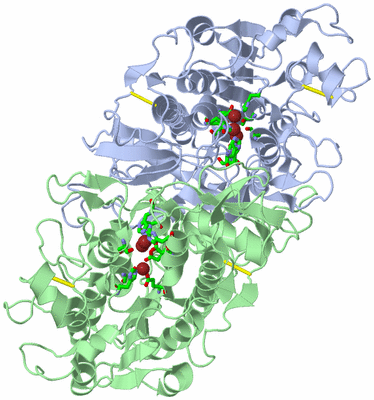 Image Asym./Biol. Unit - sites