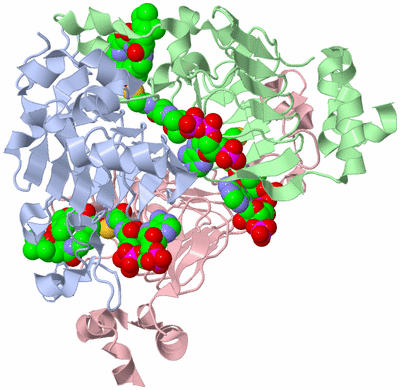 Image Biological Unit 1