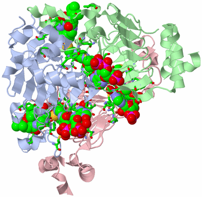 Image Biol. Unit 1 - sites