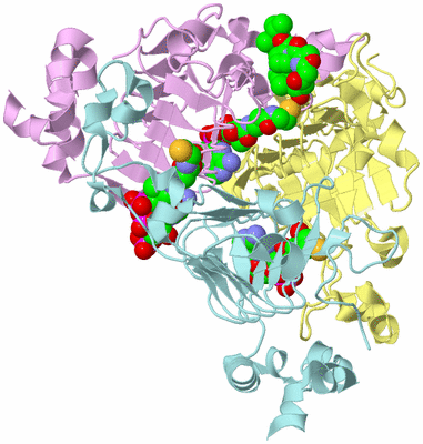 Image Biological Unit 2