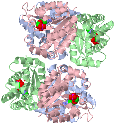 Image Biological Unit 2