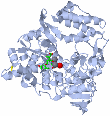 Image Biol. Unit 1 - sites