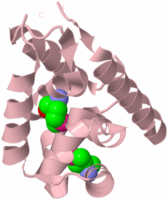 Image Biological Unit 3