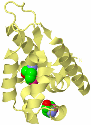 Image Biological Unit 4