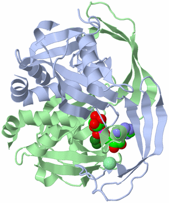 Image Asym./Biol. Unit