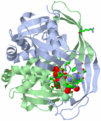 Image Asym./Biol. Unit - sites