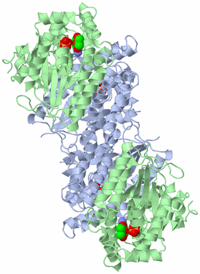 Image Biological Unit 2