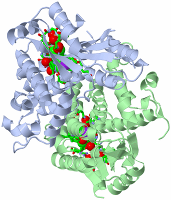 Image Asym./Biol. Unit - sites