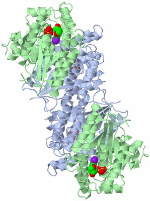 Image Biological Unit 2