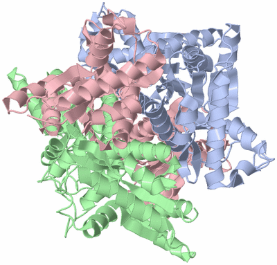 Image Biological Unit 2