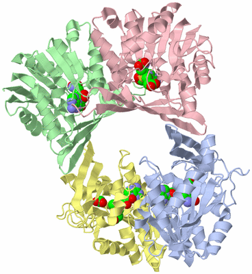 Image Asym./Biol. Unit