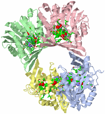 Image Asym./Biol. Unit - sites