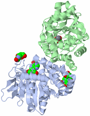 Image Asym./Biol. Unit