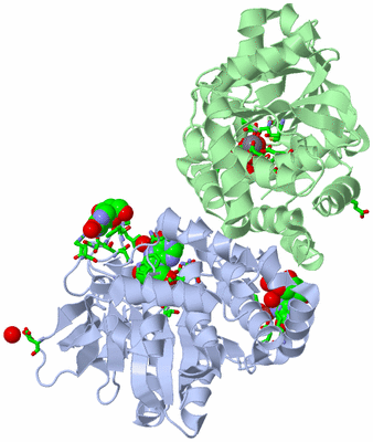 Image Asym./Biol. Unit - sites