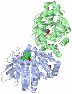 Image Asym./Biol. Unit