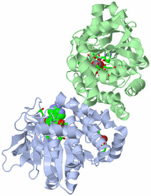 Image Asym./Biol. Unit - sites