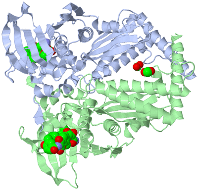 Image Asym./Biol. Unit