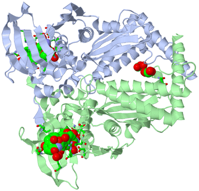 Image Asym./Biol. Unit - sites