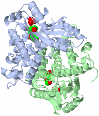 Image Asym./Biol. Unit