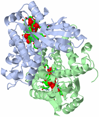 Image Asym./Biol. Unit - sites