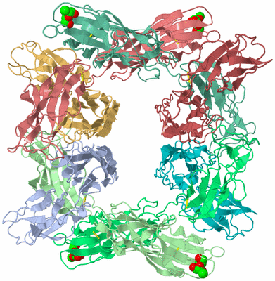 Image Biological Unit 10