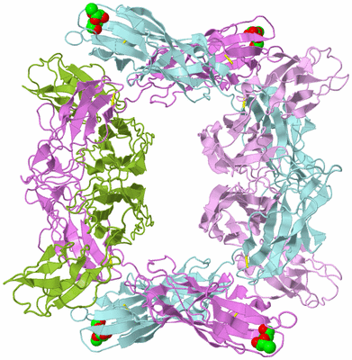 Image Biological Unit 11