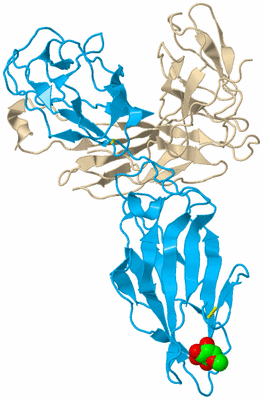 Image Biological Unit 5