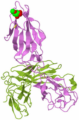 Image Biological Unit 7