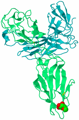 Image Biological Unit 8