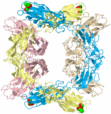 Image Biological Unit 9