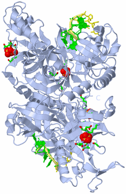 Image Biol. Unit 1 - sites