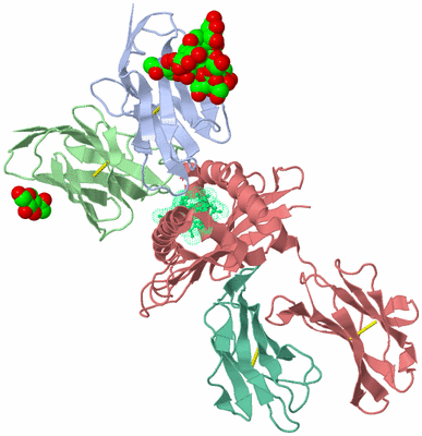 Image Biological Unit 1