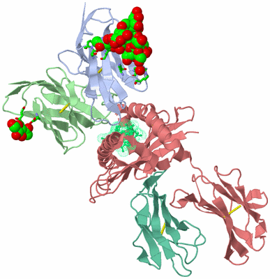 Image Biol. Unit 1 - sites